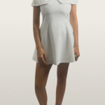 פרפר תחרה לבן